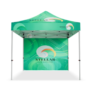 Tent Frame 10 x 10 canopy