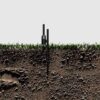 Flag ground stake